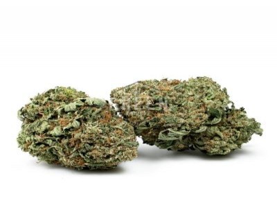 Buy OG Kush Marijuana Strain Online